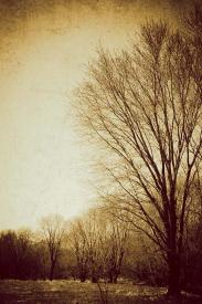 EcoTherapy #4 by Martin Keey