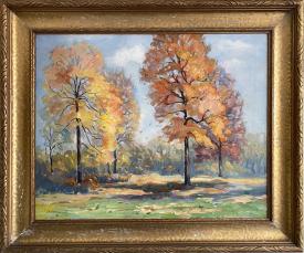 Fall Trees by Francesco Spicuzza