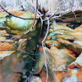 Force of Nature by Colette Odya Smith