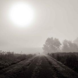Morning Fog by Michael Knapstein