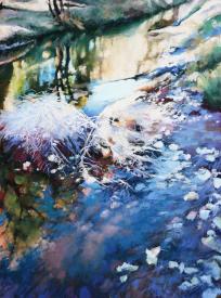 Cast Ashore by Colette Odya Smith