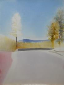 Rose Road Leads to Burn by Christine Buth-Furness