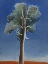 Golden Gate Park and Blue Surround by Christine Buth-Furness