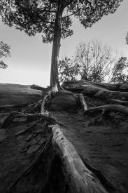 Reaching by Martin Keey
