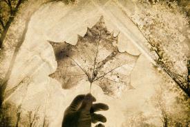 EcoTherapy #22 by Martin Keey