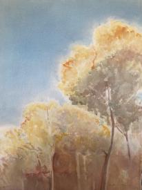 Yellow Trees and Light by Christine Buth-Furness