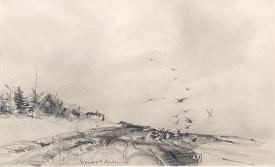 On the Shoreline by Gerhard Miller