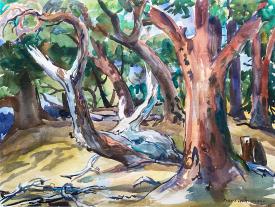 Old Growth by Robert von Neumann