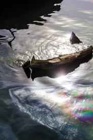 Black Tears, USS Arizona by Martin Keey