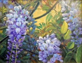 Wisteria by Thomas Buchs