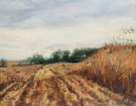 First Cut by Terry Firkins