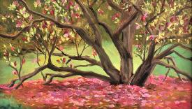 Magnolia Carpet by Pamela Grabber