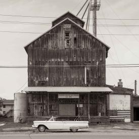 Canal Seed & Feed by Michael Knapstein