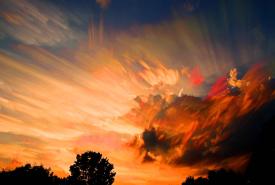 Convergent Winds by Mark Weller