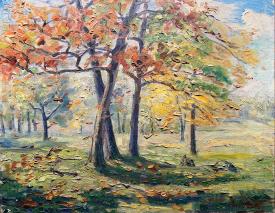 Cluster of Fall Trees by Francesco Spicuzza