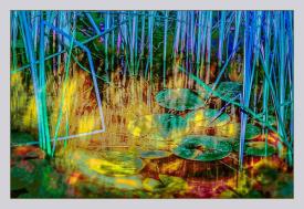 Manifestation II 2186 by Steven Agard