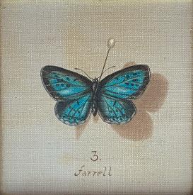 Lychene Alexis (Blue Butterfly) by Patrick Farrell