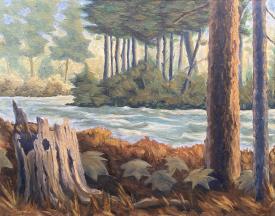Northern Wisconsin River by Chris (Christian) Olson
