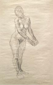 Nude Drawing by Schomer Lichtner