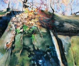 Growth Patterns by Colette Odya Smith