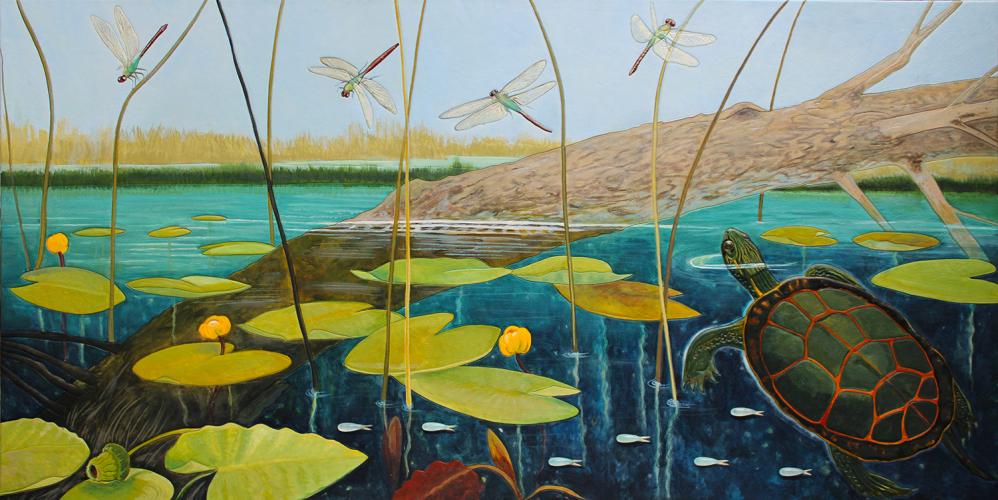 Once a Pond a Time by Mary Ellen Sisulak