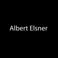 Albert Elsner by Albert Wilhelm Elsner